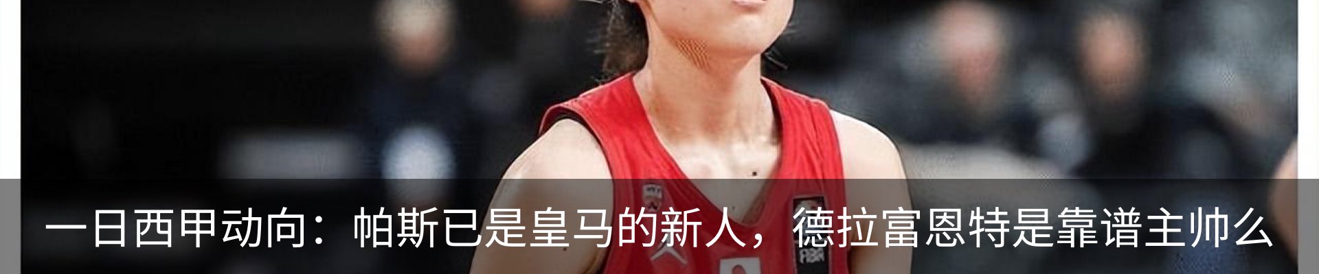 新闻动态