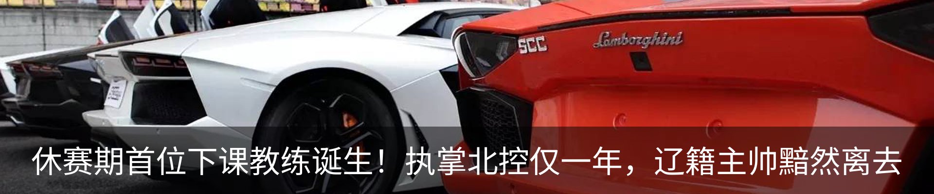 新闻动态