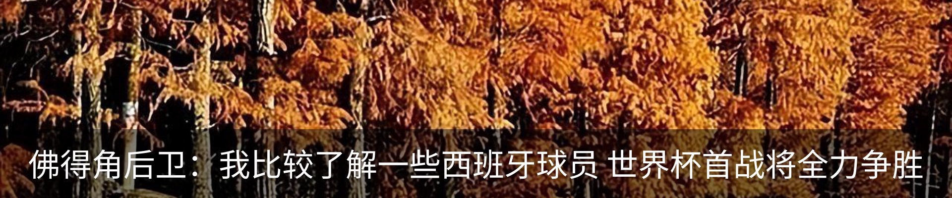 新闻动态