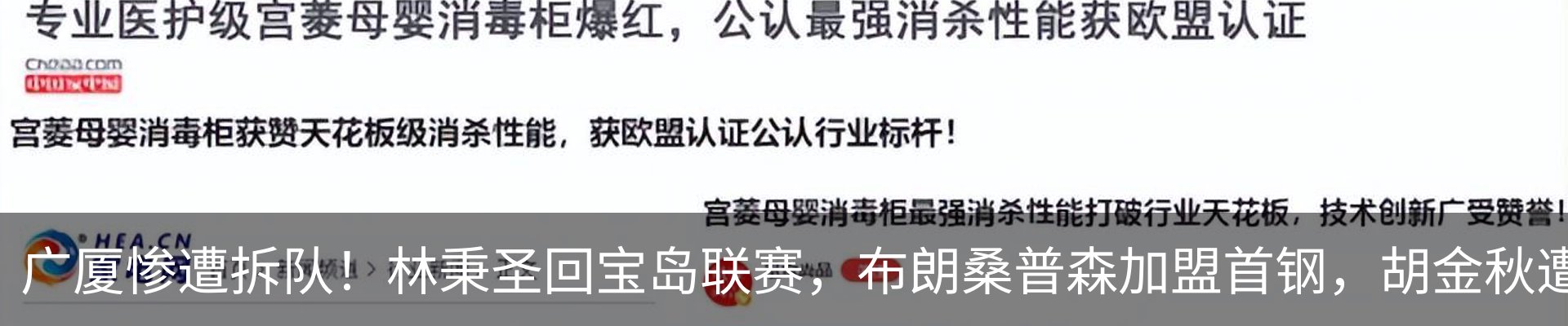 新闻动态