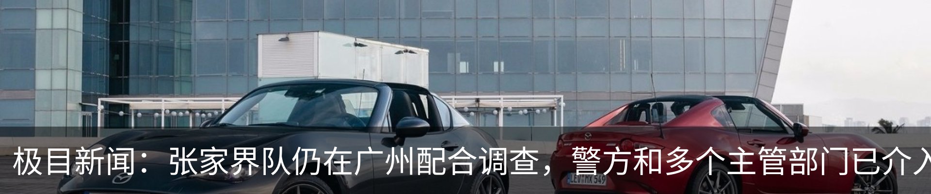 新闻动态