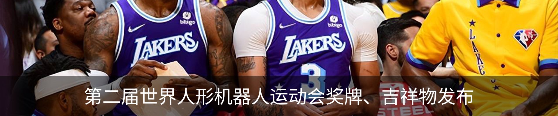 新闻动态