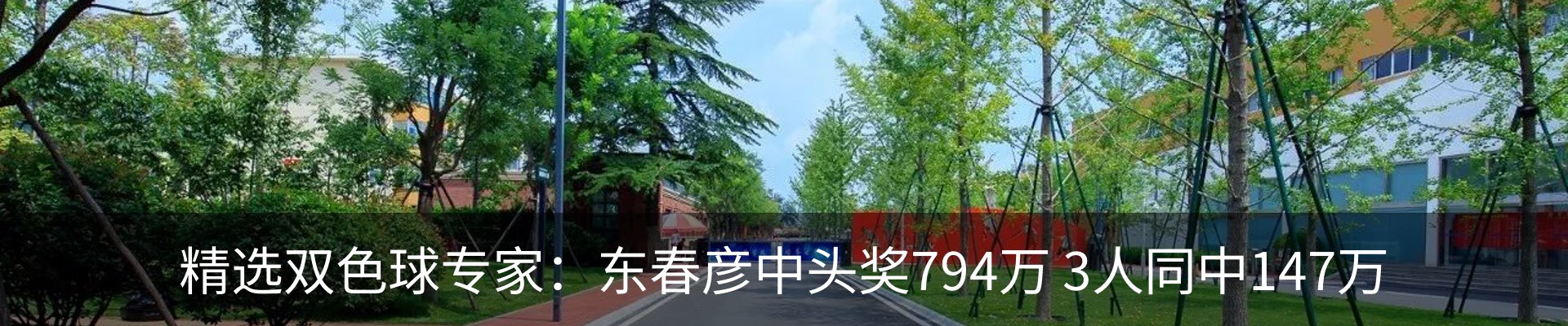 新闻动态