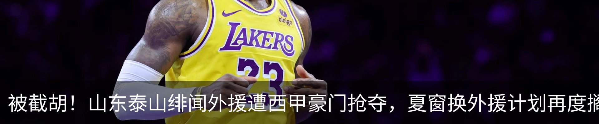 新闻动态