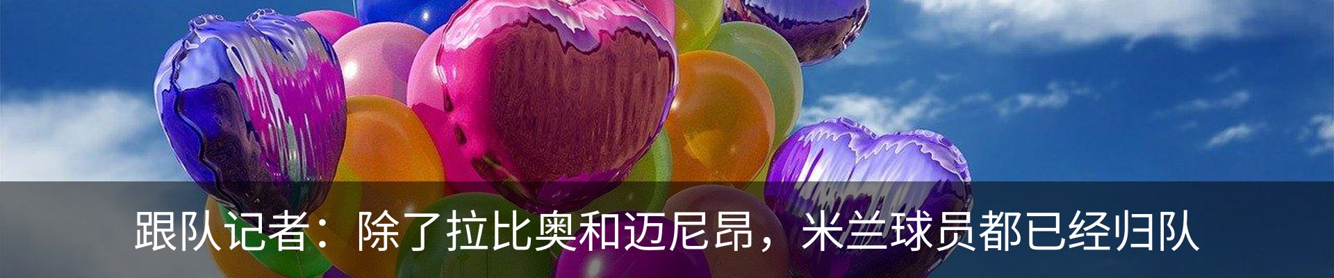 新闻动态