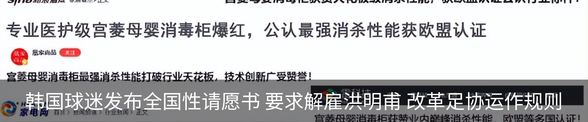 新闻动态
