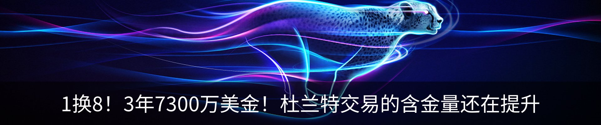 新闻动态