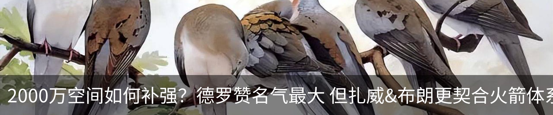 新闻动态