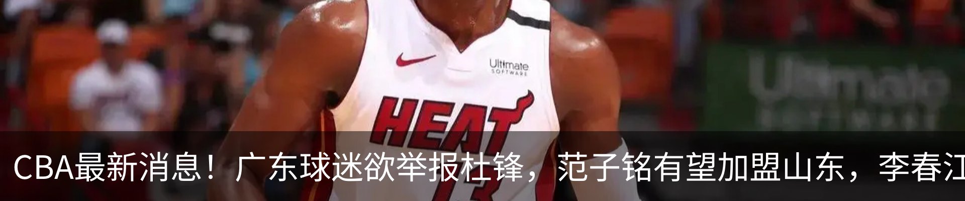 新闻动态